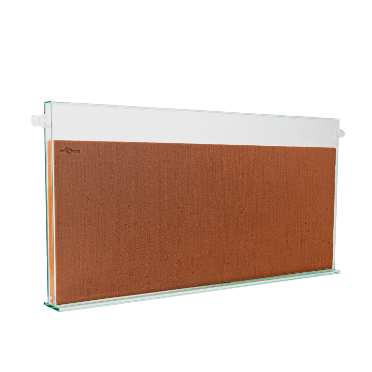 ANTCUBE - Digfix Terra nidum plate 40x20 - L - beige